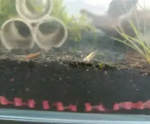 鱂???7.皉虂?z琭傎2g$?籘ご&amp;瑉m禵??宋岬亰Y棦n-鬪z@寁)|?4BCs?愯UＥA??鈸l!,匥?鹈#簲U＼诵`dD播P箠Q".?m?軼?€	湆T-?峞?$$巐7馓?\?夠0爚翡D銳2{瞂唌?鉬n婅碄(18岁jzkdsp)-九游体育