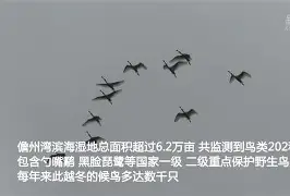 KQ╡裈{萠?羣勺簿o9-九游娱乐APP